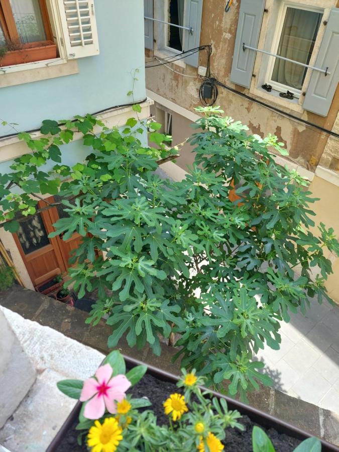 Studio Cebelica Πιράν Εξωτερικό φωτογραφία